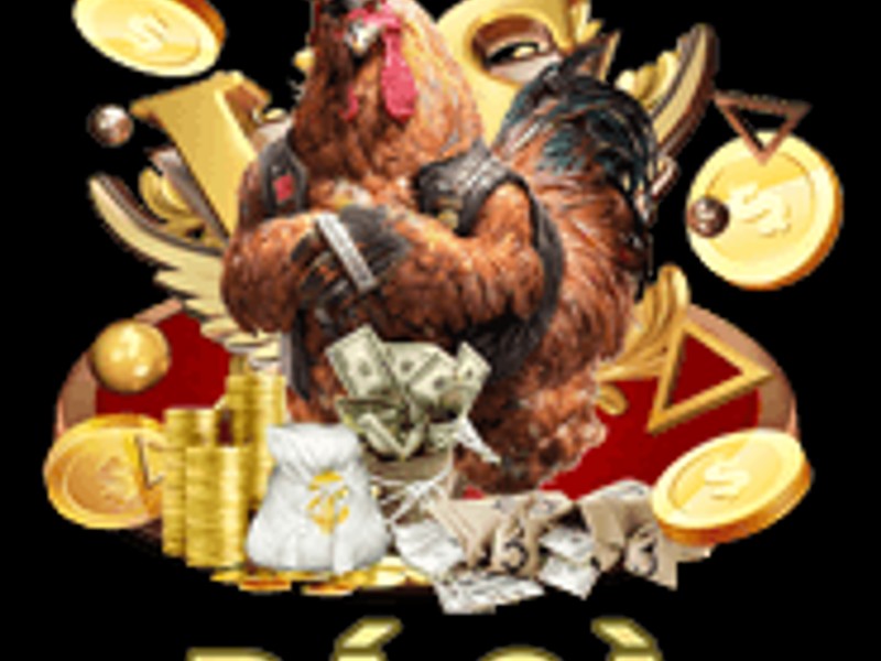 Trọng tài điều hành trận đá gà